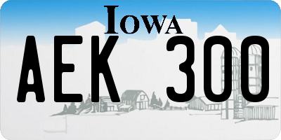 IA license plate AEK300