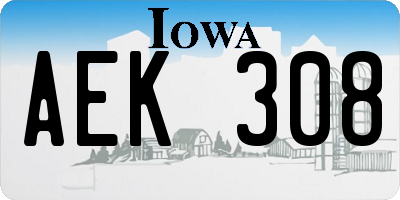 IA license plate AEK308