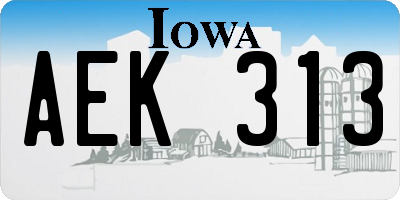 IA license plate AEK313