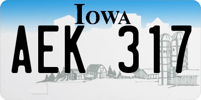 IA license plate AEK317