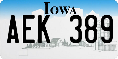 IA license plate AEK389