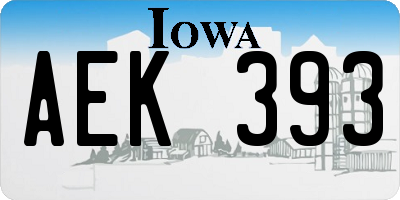 IA license plate AEK393