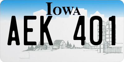 IA license plate AEK401