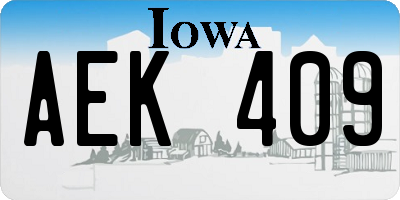 IA license plate AEK409