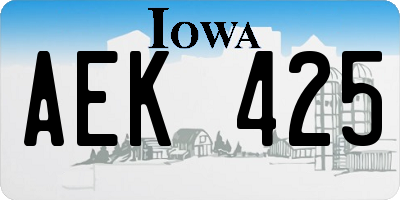 IA license plate AEK425
