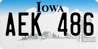 IA license plate AEK486