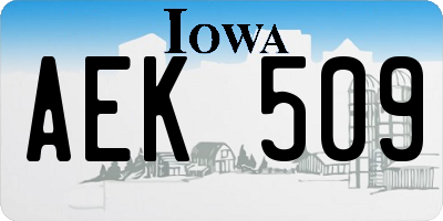IA license plate AEK509