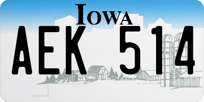 IA license plate AEK514