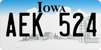 IA license plate AEK524