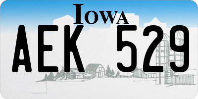 IA license plate AEK529