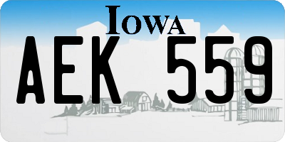 IA license plate AEK559