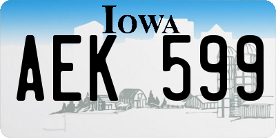 IA license plate AEK599