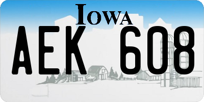 IA license plate AEK608