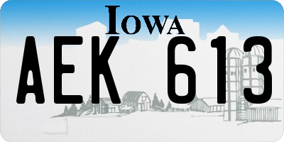 IA license plate AEK613