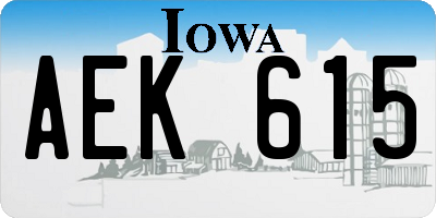 IA license plate AEK615