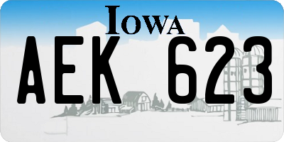 IA license plate AEK623