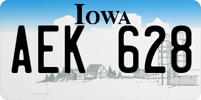 IA license plate AEK628