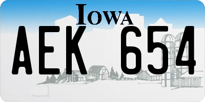 IA license plate AEK654