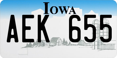 IA license plate AEK655