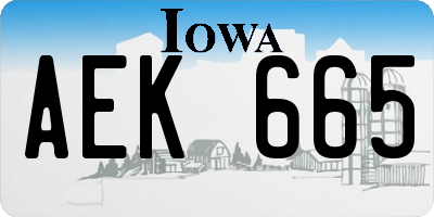 IA license plate AEK665