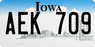 IA license plate AEK709