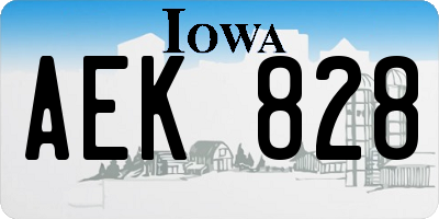 IA license plate AEK828