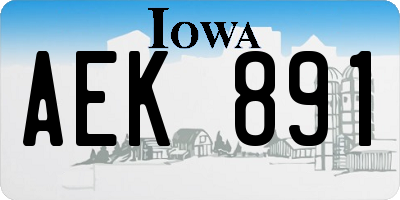 IA license plate AEK891