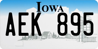 IA license plate AEK895