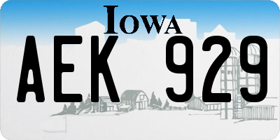 IA license plate AEK929