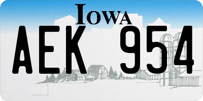 IA license plate AEK954