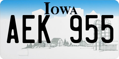 IA license plate AEK955