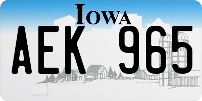 IA license plate AEK965