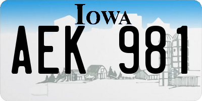 IA license plate AEK981