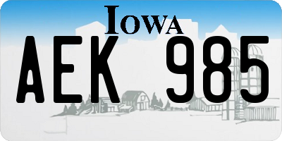 IA license plate AEK985