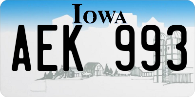 IA license plate AEK993