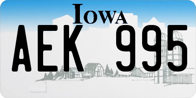 IA license plate AEK995