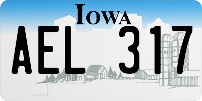 IA license plate AEL317