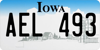 IA license plate AEL493