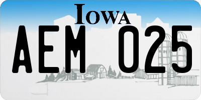 IA license plate AEM025
