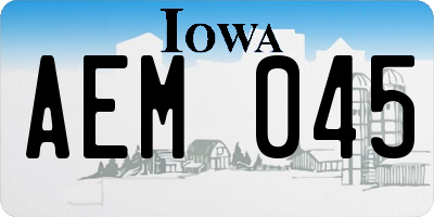 IA license plate AEM045