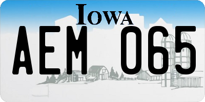 IA license plate AEM065