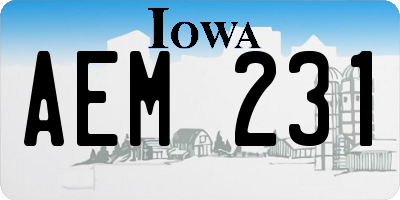 IA license plate AEM231