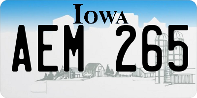 IA license plate AEM265
