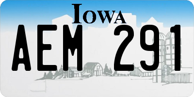 IA license plate AEM291