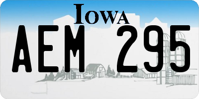 IA license plate AEM295