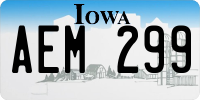 IA license plate AEM299