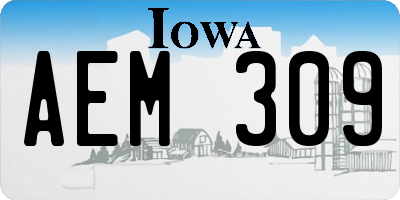 IA license plate AEM309