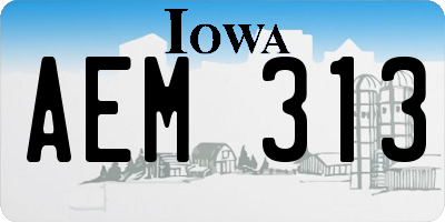 IA license plate AEM313
