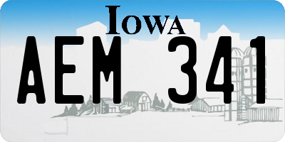 IA license plate AEM341