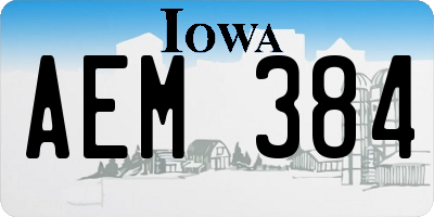 IA license plate AEM384